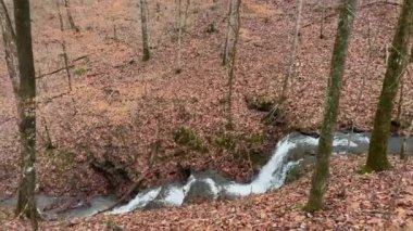 Yavaş çekim, Kuzey Georgia 'daki bir halk parkındaki çentikli kayaların üzerinden çağlayan bir şelale gösteriyor.. 