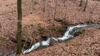 Yavaş çekim, Kuzey Georgia 'daki bir halk parkındaki çentikli kayaların üzerinden çağlayan bir şelale gösteriyor.. 