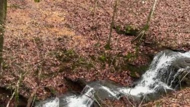 Yavaş çekim, Kuzey Georgia 'daki bir halk parkındaki çentikli kayaların üzerinden çağlayan bir şelale gösteriyor.. 