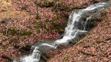 Yavaş çekim, Kuzey Georgia halk parkındaki çentikli kayaların üzerinde çağlayan bir şelaleyi gösteriyor.. 
