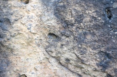 Avrupa granit duvarının kapatılması arka plan plakası için ilginç dokulu bir yüzey oluşturur.