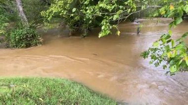 İzleme görüntülerine göre, kuzey Georgia deresinde Helene Kasırgası 'ndan dökülen sağanak yağış yüzünden akıntı çok güçlü..