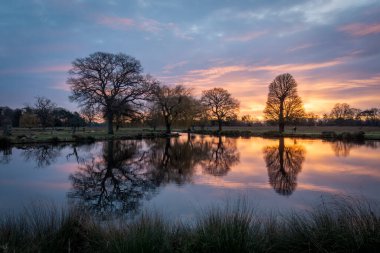 Beautiful sunrise over a lake with reflections