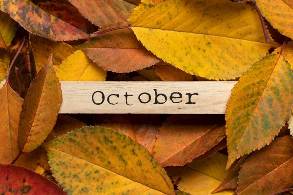 Деревянная Доска Надписью Октябрь Сухих Осенних Листьях — стоковое фото