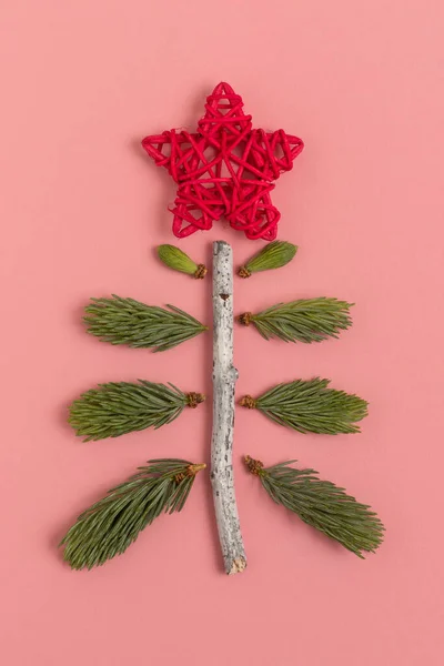 Zimní Dispozice Věčně Zelené Větve Stromu Vánoční Stromek Minimalistickém Stylu — Stock fotografie