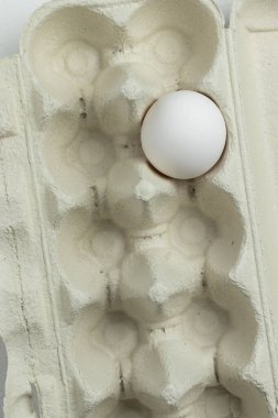 Egg box with one white egg. Top view.