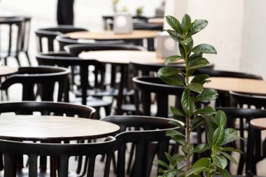 Sokak kafesinin yanındaki kaldırımda masa ve sandalyeler. Minimalist fotoğraf.