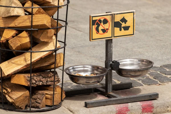 Tigelas Para Alimentar Cães Calçada — Fotografia de Stock
