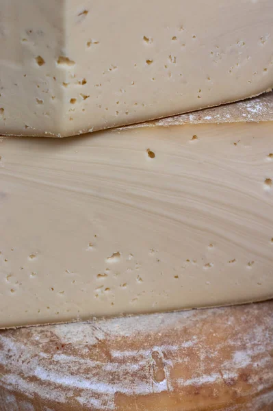 Reifer Käse Verkostung Von Halbhartem Käse — Stockfoto