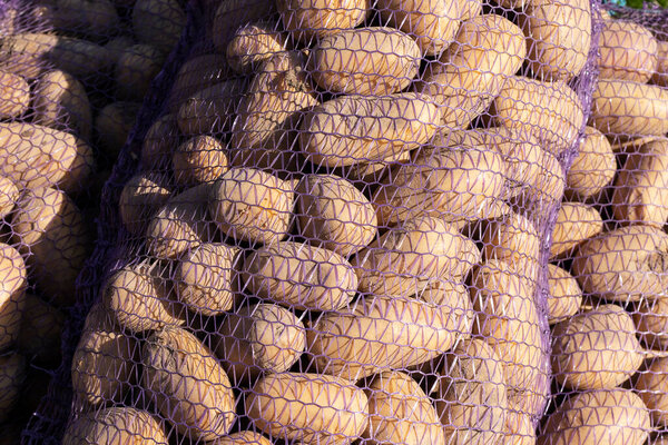 Мешки с картошкой. Крупный план.