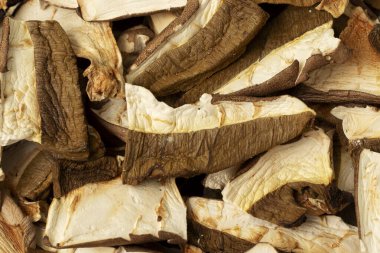 Kurutulmuş domuz mantarı. Üst görünüm, yakın çekim.