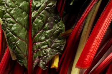 Red-stemmed chard close-up, top view. clipart