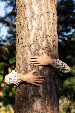 Bir çift nazik el bir ağacın kabuğunu kucaklıyor. Noktalı orman ışığında, sahne kırılgan aşk, hayaller ve insanlık ile doğa arasındaki sonsuz bağ için bir metafor haline gelir. Doğa koruma, ekoloji ve yaratıcı yaşamın sembolü.