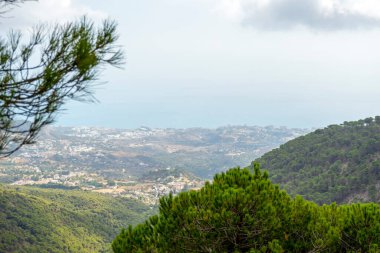 Mijas, Malaga yakınlarındaki ormandan Akdeniz 'e panoramik manzara 