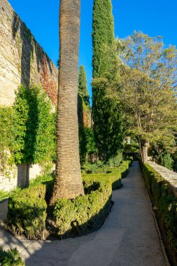 Granada, İspanya - 26 Kasım 2022 'de İspanya' nın Granada kentindeki Alhambra yeşil bahçelerinde yürüyüş