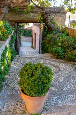 Granada, İspanya - 26 Kasım 2022 'de İspanya' nın Granada kentindeki Alhambra yeşil bahçelerinde yürüyüş