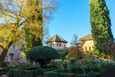 Granada, İspanya - 26 Kasım 2022 'de İspanya' nın Granada kentindeki Alhambra yeşil bahçelerinde yürüyüş