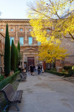 Granada, İspanya - 26 Kasım 2022 'de İspanya' nın Granada kentindeki Alhambra yeşil bahçelerinde yürüyüş