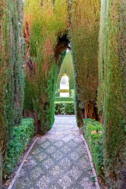 Granada, İspanya - 26 Kasım 2022 'de İspanya' nın Granada kentindeki Alhambra yeşil bahçelerinde yürüyüş