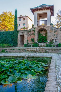 Granada, İspanya - 26 Kasım 2022 'de İspanya' nın Granada kentindeki antik Alhambra 'nın yeşil bahçelerinde yürüyüş