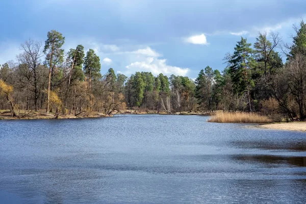 lake Forest