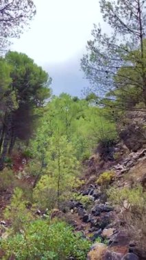 Hiking in the forest, path to peak Mijas, Malaga, Spain