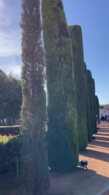 CORDOVA, SPAIN - DECEMBER 11, 2022: Gardens of the Alczar in Cordova, Spain on December 11, 2022