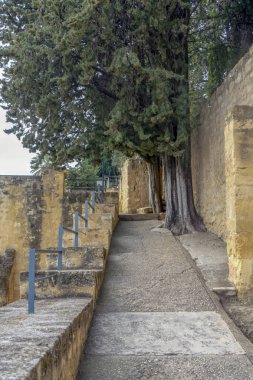 CORDOVA, SPAIN - FEBRUARY 12, 2023: The ruins of Medina Azahara, a fortified Arab Muslim medieval palace-city near Cordova, Spain on February 12, 2023