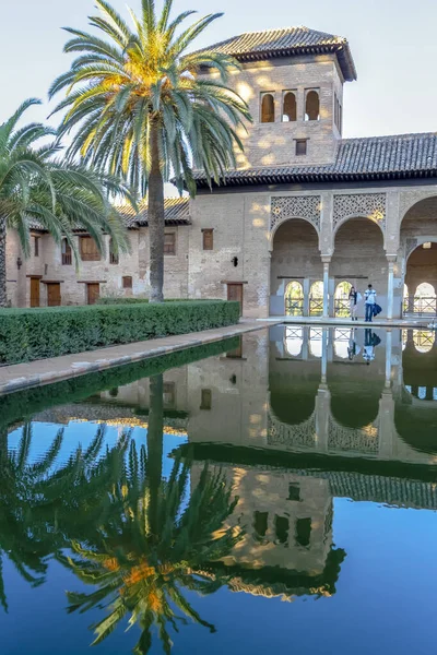 Granada Spanya Kasım 2022 Palm Granada Spanya Antik Alhambra Havuza — Stok fotoğraf