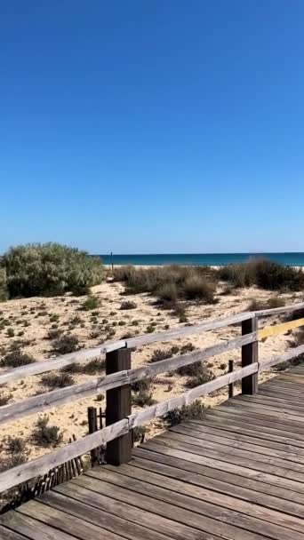 Lagos Portekiz Dışındaki Algarve Kıyısında Portekiz Plajları Kıyıları — Stok video
