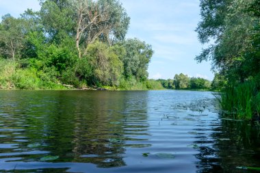 Poltava bölgesinde güneşli bir günde Sula nehri. Yaz Ukrayna manzarası.