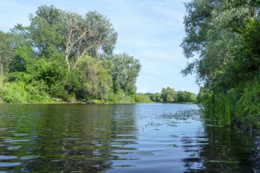 Poltava bölgesinde güneşli bir günde Sula nehri. Yaz Ukrayna manzarası.