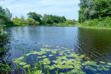 Poltava bölgesinde güneşli bir günde Sula nehri. Yaz Ukrayna manzarası.