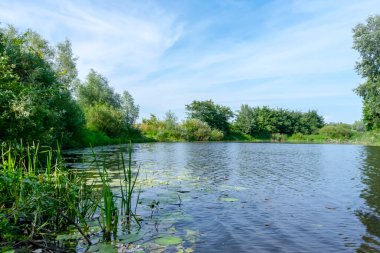 Poltava bölgesinde güneşli bir günde Sula nehri. Yaz Ukrayna manzarası.
