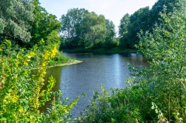 Poltava bölgesinde güneşli bir günde Sula nehri. Yaz Ukrayna manzarası.