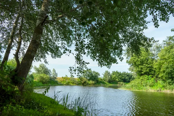 Poltava bölgesinde güneşli bir günde Sula nehri. Yaz Ukrayna manzarası.