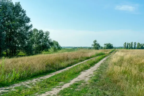 Poltava bölgesinde güneşli bir günde kırsal bölgede yol. Yaz Ukrayna manzarası.