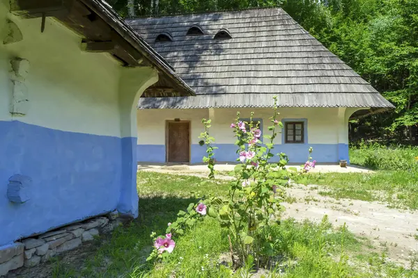 Zomer Landschap Van Traditionele Oekraïense Dorp — Stockfoto