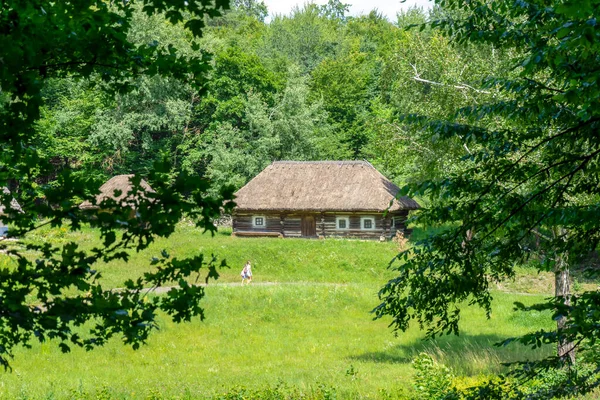 Літній Пейзаж Традиційного Українського Села — стокове фото