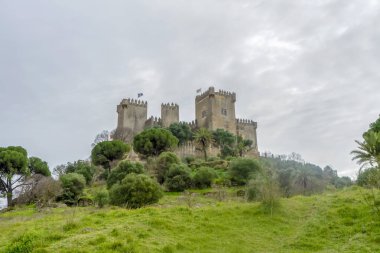 ALMODOVAR DEL RIO, SPAIN - FERBUARY 12, 2023: Almodovar kalesi (Castillo de Almodvar del Ro), 12 Şubat 2023 tarihinde İspanya 'nın Almodovar del Rio kentinde Müslümanların kalesi.
