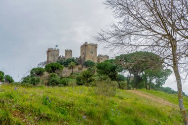 ALMODOVAR DEL RIO, SPAIN - FERBUARY 12, 2023: Almodovar kalesi (Castillo de Almodvar del Ro), 12 Şubat 2023 tarihinde İspanya 'nın Almodovar del Rio kentinde Müslümanların kalesi.