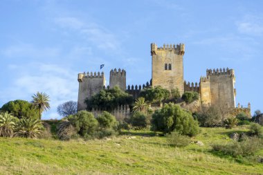 ALMODOVAR DEL RIO, SPAIN - FERBUARY 12, 2023: Almodovar kalesi (Castillo de Almodvar del Ro), 12 Şubat 2023 tarihinde İspanya 'nın Almodovar del Rio kentinde Müslümanların kalesi.