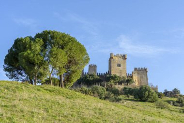 ALMODOVAR DEL RIO, SPAIN - FERBUARY 12, 2023: Almodovar kalesi (Castillo de Almodvar del Ro), 12 Şubat 2023 tarihinde İspanya 'nın Almodovar del Rio kentinde Müslümanların kalesi.