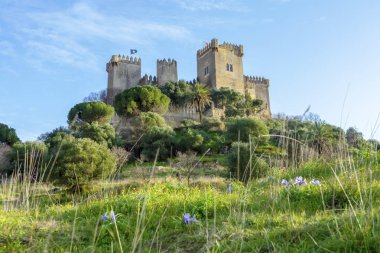 ALMODOVAR DEL RIO, SPAIN - FERBUARY 12, 2023: Almodovar kalesi (Castillo de Almodvar del Ro), 12 Şubat 2023 tarihinde İspanya 'nın Almodovar del Rio kentinde Müslümanların kalesi.