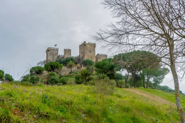 Almodovar Del Rio Spanien Ferbuar 2023 Schloss Almodovar Castillo Almodvar — Stockfoto