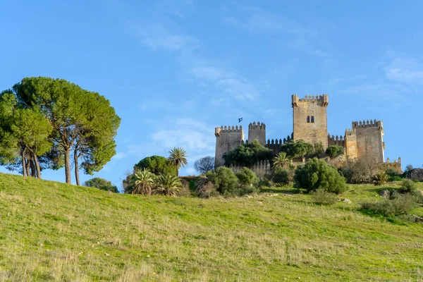 阿尔莫多瓦尔城堡 Spain Ferbuary 2023 2023年2月12日 阿尔莫多瓦尔城堡 Castillo Almodvar Del 西班牙阿尔莫多瓦尔的一座穆斯林城堡 — 图库照片