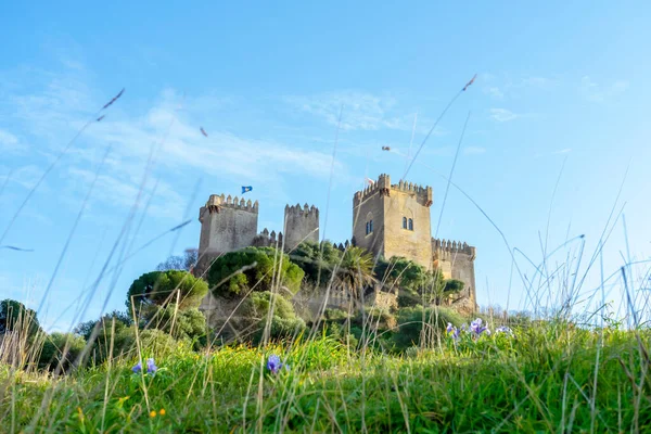 ALMODOVAR DEL RIO, SPAIN - FERBUARY 12, 2023: Almodovar kalesi (Castillo de Almodvar del Ro), 12 Şubat 2023 tarihinde İspanya 'nın Almodovar del Rio kentinde Müslümanların kalesi.