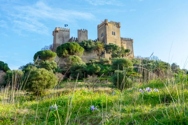 Almodovar Del Rio Spanien Ferbuar 2023 Schloss Almodovar Castillo Almodvar — Stockfoto