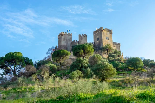 ALMODOVAR DEL RIO, SPAIN - FERBUARY 12, 2023: Almodovar kalesi (Castillo de Almodvar del Ro), 12 Şubat 2023 tarihinde İspanya 'nın Almodovar del Rio kentinde Müslümanların kalesi.