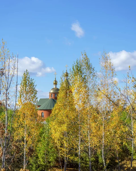 Church hidden in yellow autumn colors on the countryside field in Poltava region. Autumn Ukrainian landscape.